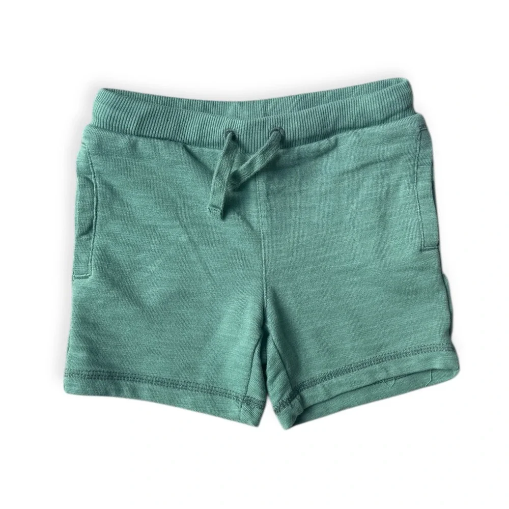 Little Bipsy Janie & Jack Toddler Boy West Coast Graphic Tee/Sage Shorts Set 2T